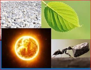 Chi semu �nta sta vita