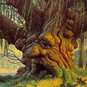 Con Gli Occhi Spenti Del Tramonto