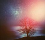 Non guarir� da questo amore