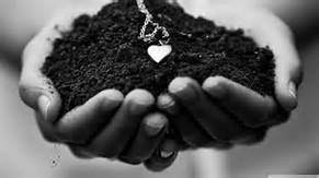 La fiducia del cuore