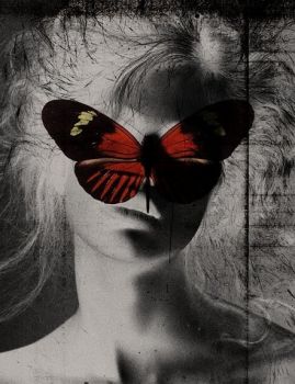 Chiarezza disarmante