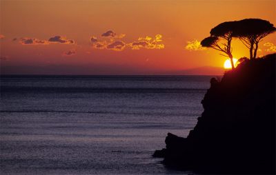 Qui � il mio cuore