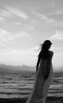 Tutto tace... tutto � silenzio