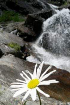 Forte come una roccia