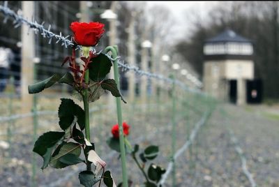 Una rosa per non dimenticare