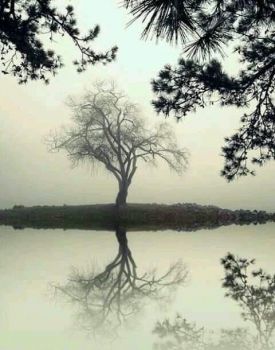 Ho scritto tra le lacrime