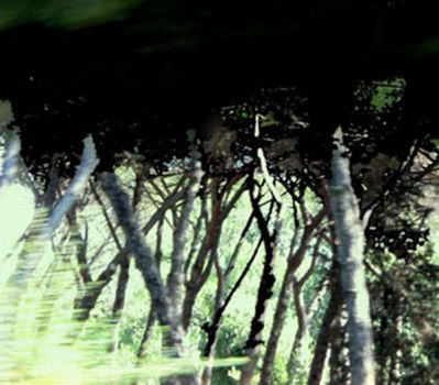 Prima dei 37� annunciati