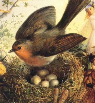 L�uccellino abbandonato