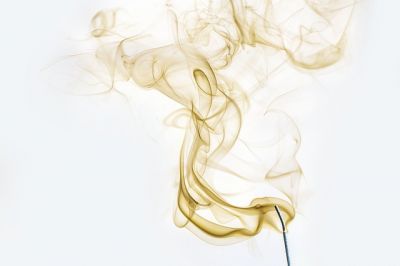 In ogni pura verit�