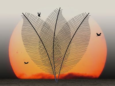 Il canto meraviglioso dell�infinito