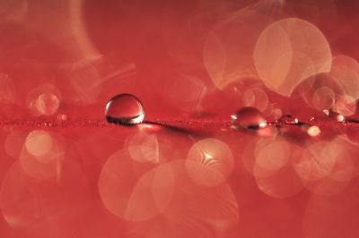 La verit� ... e il suo sapore