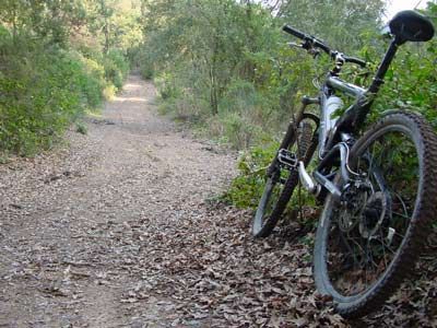 Cose diverse dalla paura