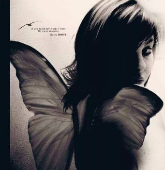 I sogni fanno passi brevi