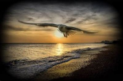 Il vento dell�amore