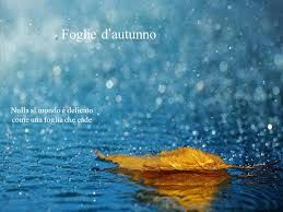 Le foglie d�autunno
