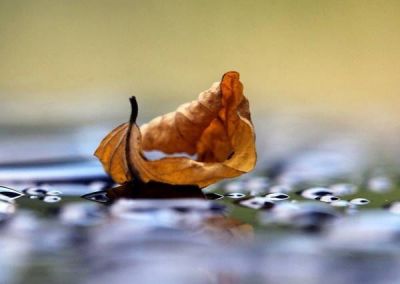 L� dove la parola non ha volo