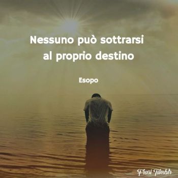 Ognuno ha il proprio destino