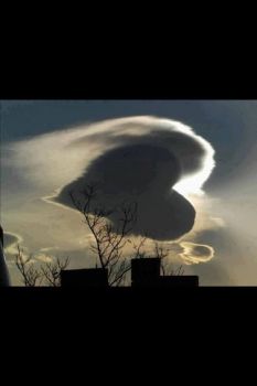 La morte non � nulla nei sogni tuoi verr�