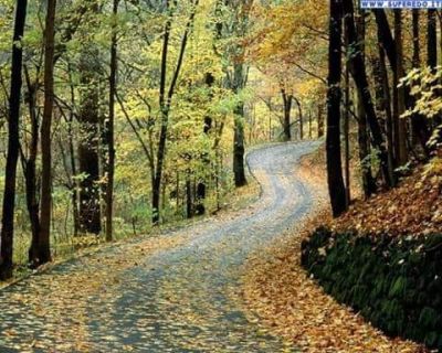 Lungo il sentiero del tuo tramonto