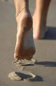 Se nel silenzio poi finisce il canto