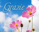 Grazie
