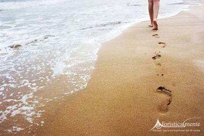 Il Mistero dell�Apostrofo