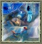 Vorrei dirti: ti amo