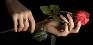 Un fiore di speranza