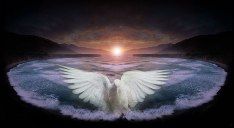 La luce spenta dei tuoi occhi