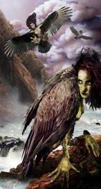 Sull'onta di un rifiuto