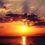 Al di l� della siepe