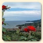 Su petali appassiti... le mie attese