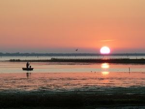 E il silenzio fruscia sereno