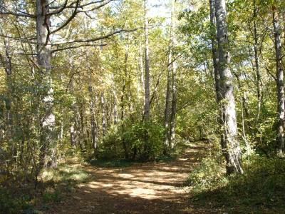 La luce dorata di Settembre
