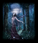 Nel bosco a piedi nudi