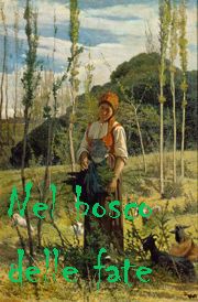 Nel bosco delle fate