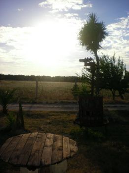 Estemporanea di poesia: Pulsano