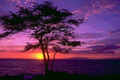 Tramonto sulla pelle