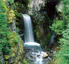 Come il mio cuore appassionato e niente pi�