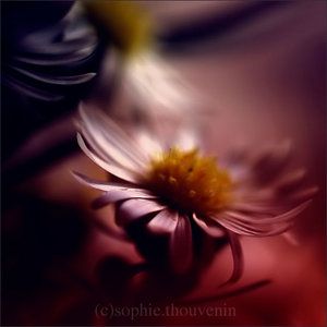 L'Inevitabile scorrere del tempo