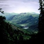 Amo il silenzio della notte