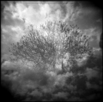 Dove... Onde del tempo  