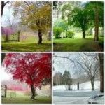 Le stagioni del poeta