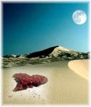 Il deserto nel cuore