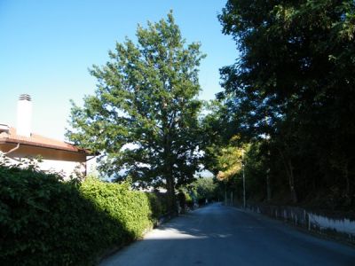 Nel sorriso del sole