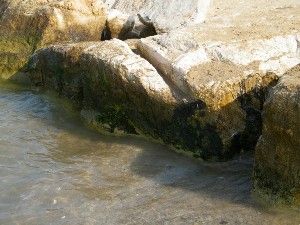 L’eco sulla spiaggia