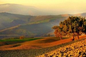 E’ tornato l’ autunno