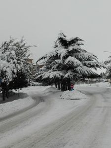 Nella tempesta, quiete