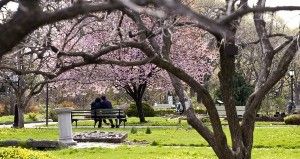 Il giorno dell’amore