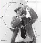 Come pezzi di specchio